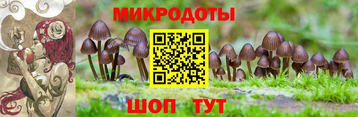 Майкоп  Псилоцибиновые грибы MAGIC MUSHROOMS  Вход с VPN  Псилоцибиновые грибы Psilocybine cubensis 